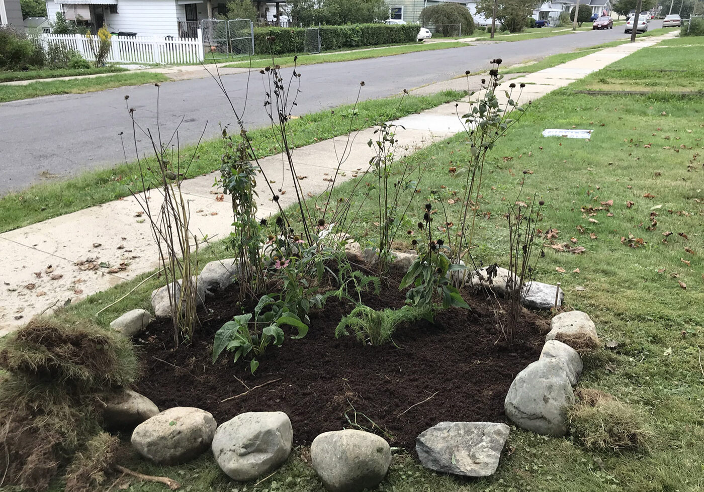 Small Native Plant Pollinator Garden