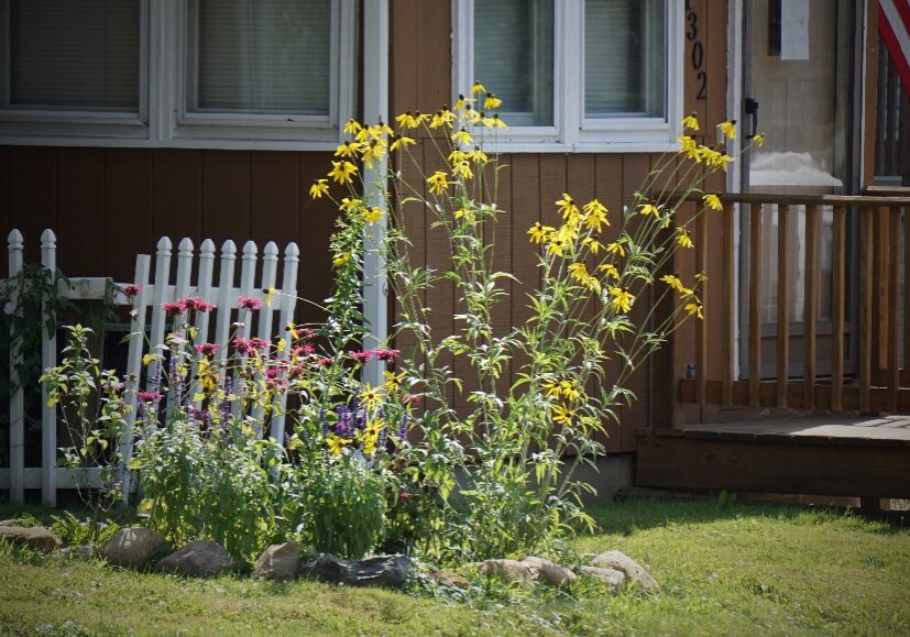 Jacks-Urban-Pollinator-Garden